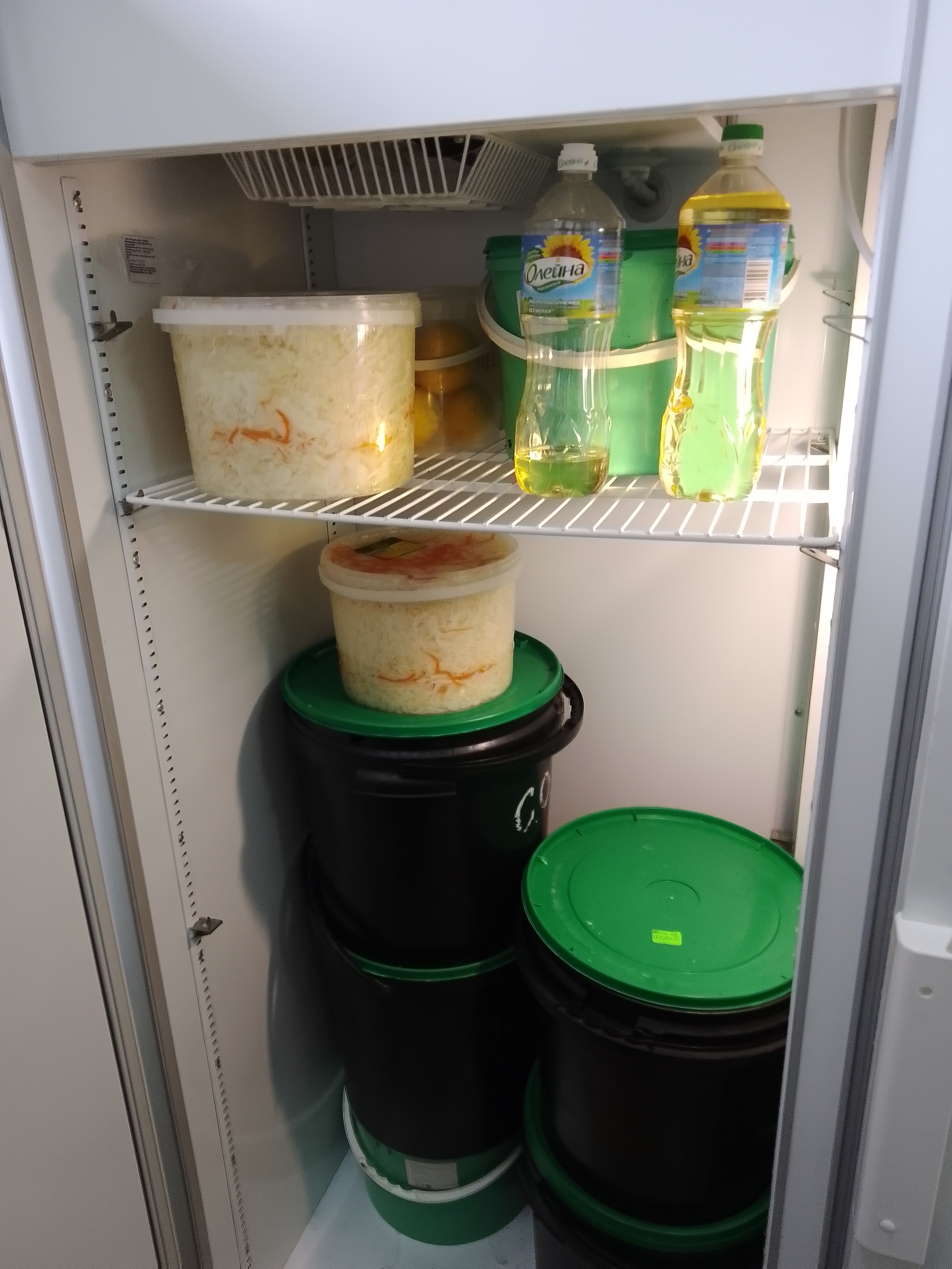 Родительский контроль 05.02.2025